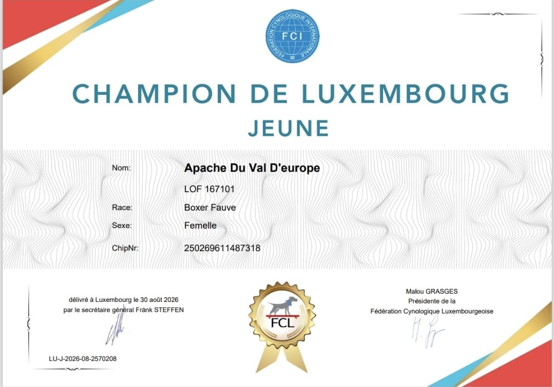 1er titre pour Apache