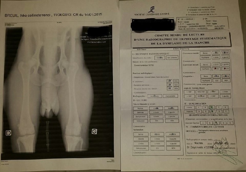tests santé